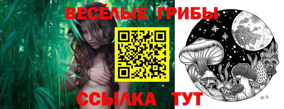 Галлюциногенные грибы Magic Shrooms Лангепас