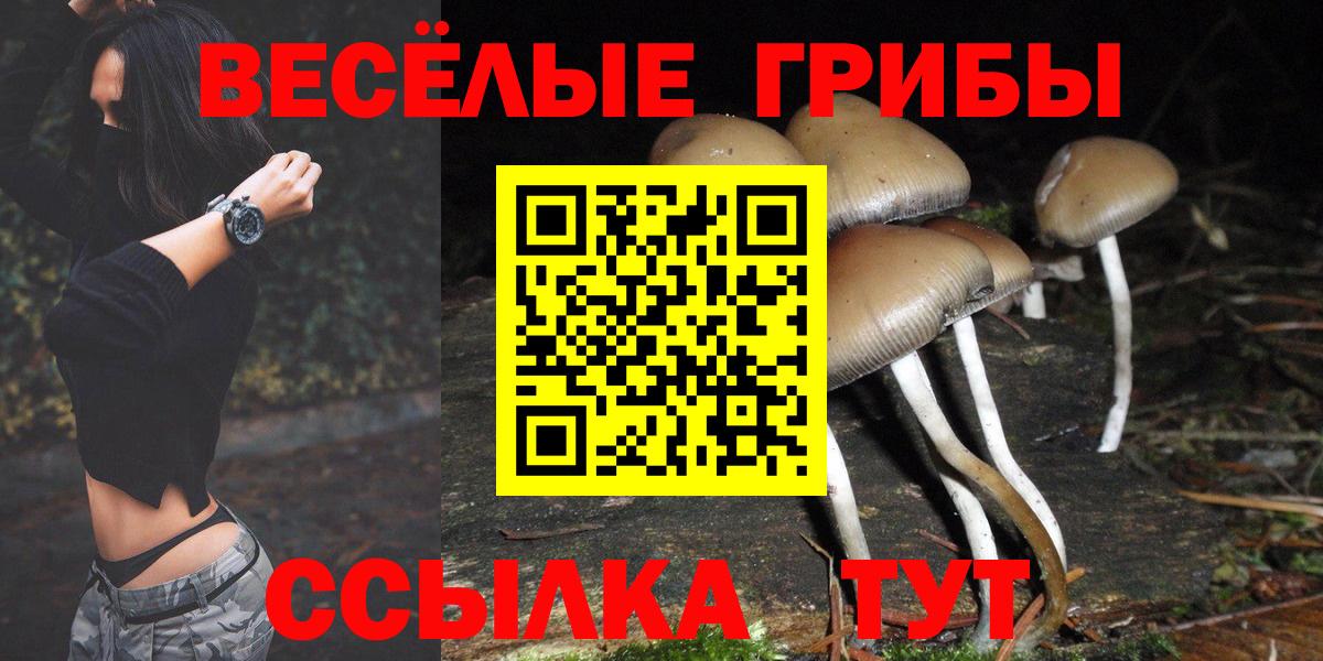 Псилоцибиновые грибы Magic Shrooms  где купить   Лангепас  Псилоцибиновые грибы Cubensis  Вход с VPN 